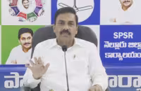 కాకాణి